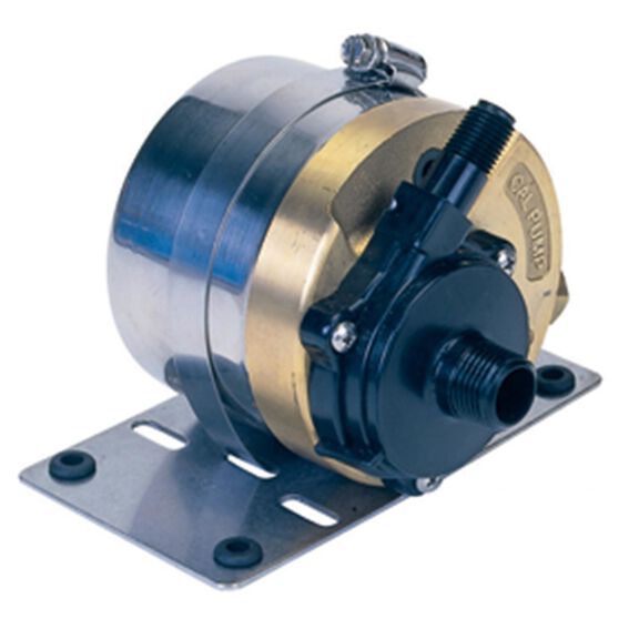 Seawater Circulation Pump, 1200 gph image number 0