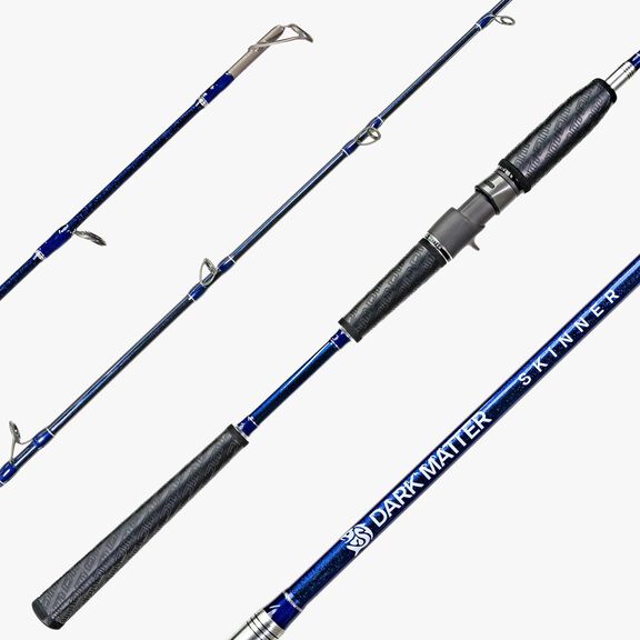 Skinner Jig & Bounce BAY Casting Rod image number 0