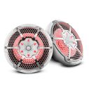 HYDRO 10" 2-Way Marine Speakers with Bullet Tweeter and Integrated RGB LED Lights, White image number 0