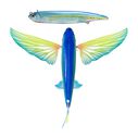 8" Slipstream 200 Flying Fish Trolling Lure, 5 Ounces image number 0