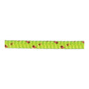 3/16" Dia. Spyderline Micro Dyneema Braid, Lime image number 1