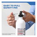 Mariner 10 Fire Extinguisher image number 10