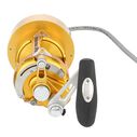 International&reg; VI 70VISW Detachable Hooker Electric Conventional Reel, Gold image number 4