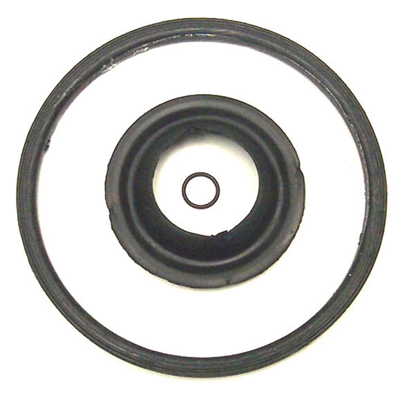 MF 811 Water Strainer Replacement Gasket Set image number 0