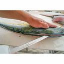 9" Sofgrip Flexible Fillet Knife with Sheath image number 2