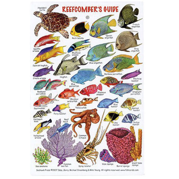 Reefcomber's Guide Identification Card image number 0