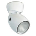 GAI2 LED Positionable Light, White Housing, Spectrum RGBW image number 0