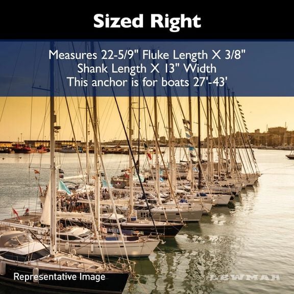 Epsilon Anchor Stainless Steel 22 lb image number 8