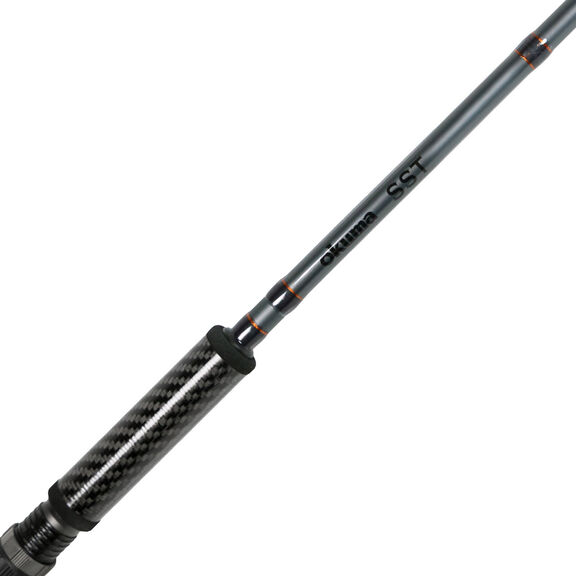 9' SST - Salmon,Steelhead,Trout Spinning Rod image number 1