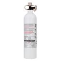 Mariner 10 Fire Extinguisher image number 1