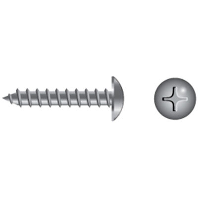 Stainless Steel Phillips Truss-Head Tapping Screws