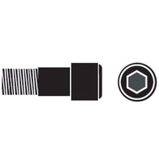 Stainless Steel Metric Cap Screws