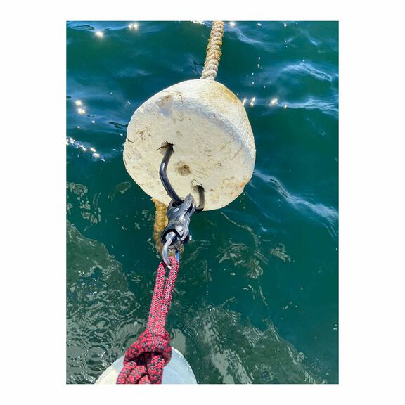 SEA-Snap&trade; 5mm Pin, 200Kg SWL, Snap Shackle image number 4