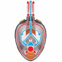 Aria Uno Snorkel Mask Combo, Small/Medium image number 5