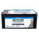 Group 8D Lithium Iron Phosphate Dual Purpose Battery, 12V 350Ah, Certified to ABYC Standards image number 0