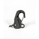 Danik Hook, Orginal Composite image number 2