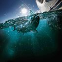 Easi-Troll ST Manual Downrigger image number 3