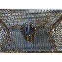 22" x 12" x 11.5" Pinfish Bait Trap image number 2
