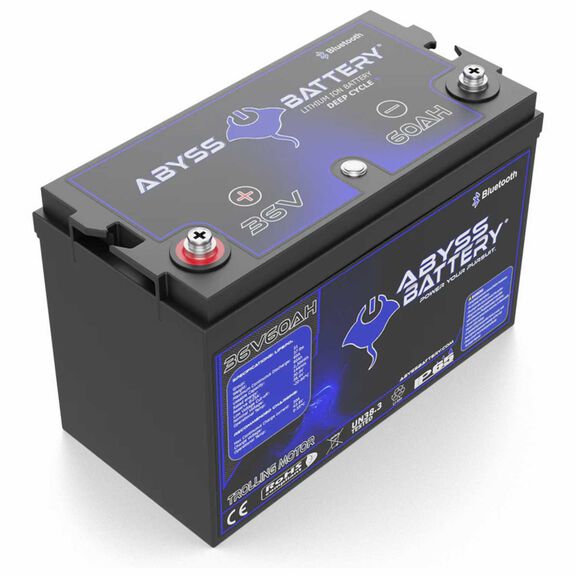 36V 60AH Lithium Iron Phosphate Group 31 Trolling Motor Battery, Bluetooth Enabled image number 2