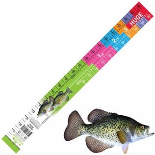 Crappie Release Ruler Decal 20in x 2in