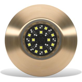 Lumishore LM600555