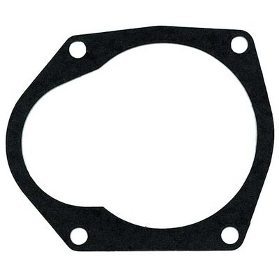Water Pump Gasket for Mercury/Mariner Outboard Motors (Qty. 2     of 18-2919)