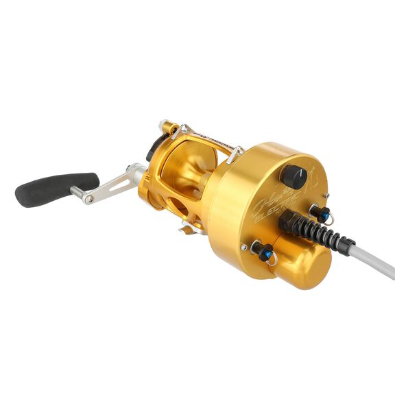International&reg; VI 70VISW Detachable Hooker Electric Conventional Reel, Gold image number 2