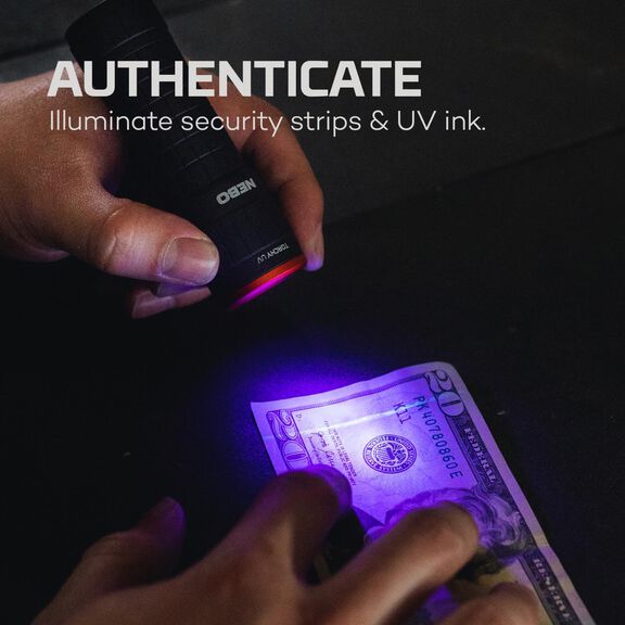 Torchy UV Flashlight & Black Light image number 4