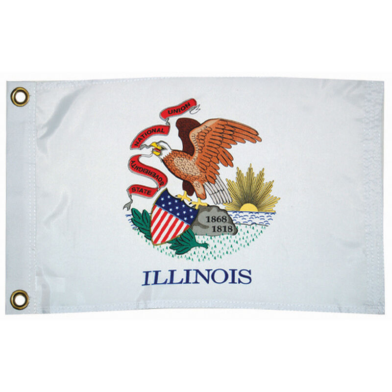 Taylor Made Illinois State Flag, 12" x 18" in Blue | Camping World
