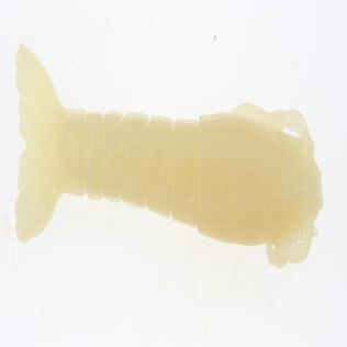 Gulp!&reg; Saltwater Shrimp