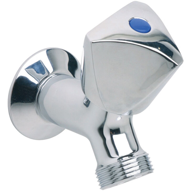 AMBASSADOR MARINE Washdown Faucet West Marine