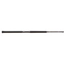 9' Teramar Jigging Casting Rod, Heavy Power image number 0