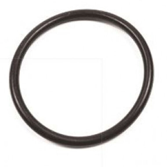 Bennett A1121 Actuator Piston O-Ring image number 0