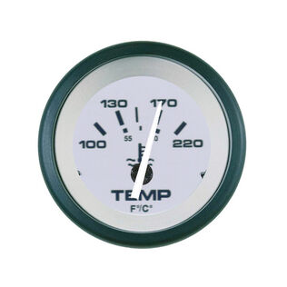 Driftwood Series Water Temperature Gauge