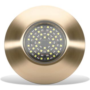 Lumishore LM600562