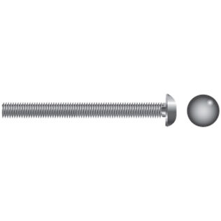 Stainless Steel Carriage Bolts