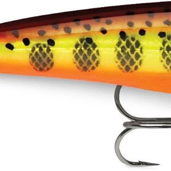 X-Rap Shad image number 6