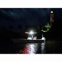 Capri3 Spreader Floodlights, 1,200 Lumen, Black Housing image number 1