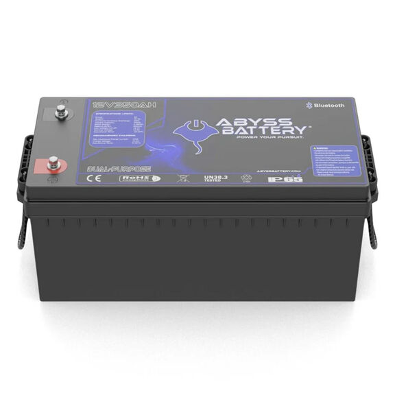12V 350Ah Dual Purpose Group 8D Lithium Marine House Battery, Bluetooth Enabled image number 0