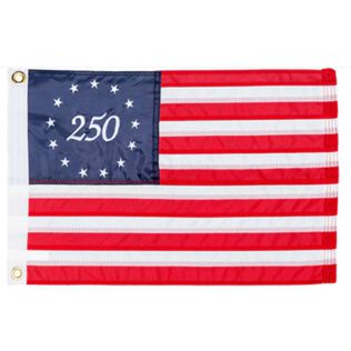 12" x 18" 250 Years of Freedom American Flag
