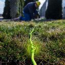 Flexzilla Pro Extension Cord 14/3 AWG 50' image number 5