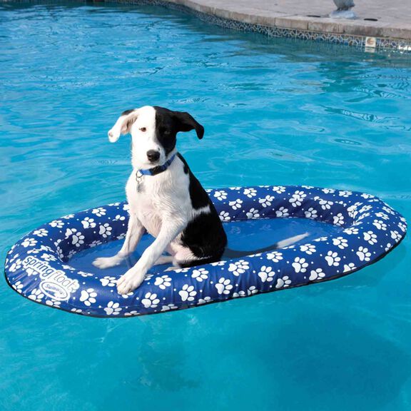 Spring Float Paddle Paws image number 2