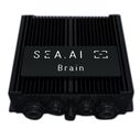 SEA.AI Brain image number 0