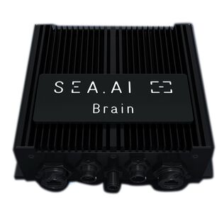 SEA.AI Brain