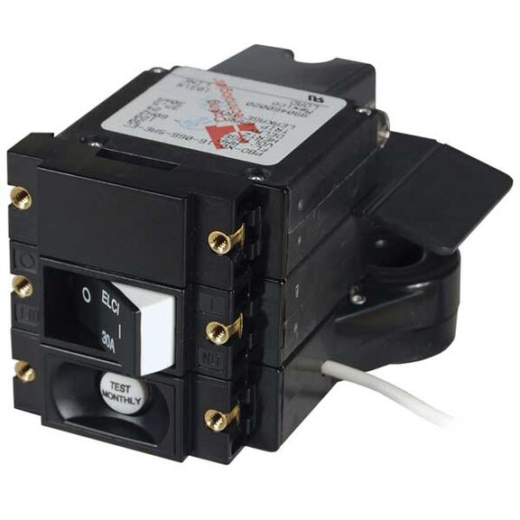 A-Series ELCI Main 30A Circuit Breaker, Double Pole 120V AC image number 0