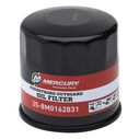 Mercury 9.9-20hp FourStroke EFI 100 Hour Maintenance Kit image number 1