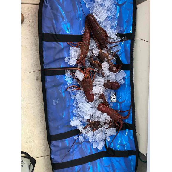 4' Insulated Kill Bag image number 7