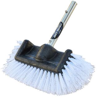Big Bird Brush, Stiff