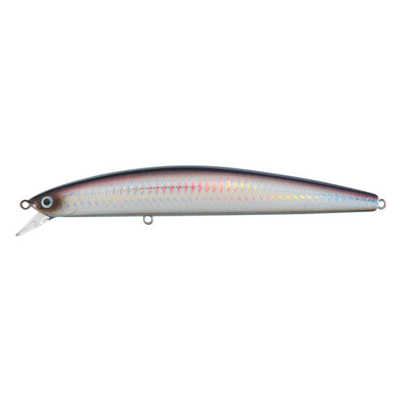 Salt Pro Minnow Fishing Lure, 6" image number 0