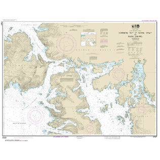 #17407 Northern Part of Tlevak Strait & Uloa Channel